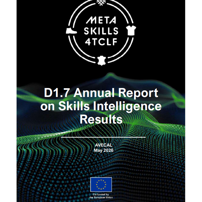 Report_Metaskills